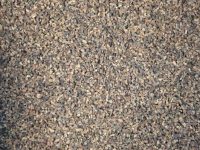 Cocoa Nibs 100g